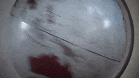 where am i gif