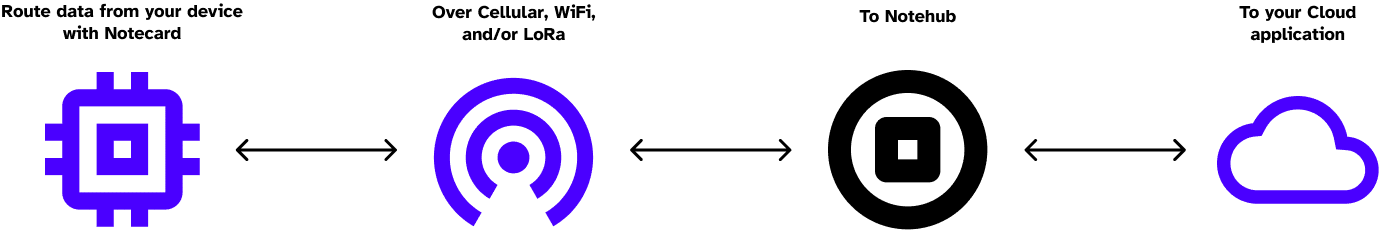 Group 91